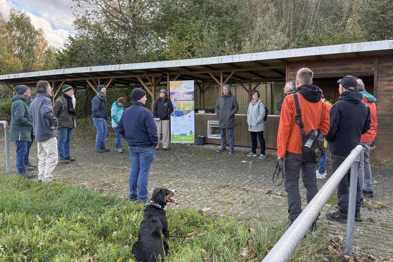 Sonne, Wind und mehr